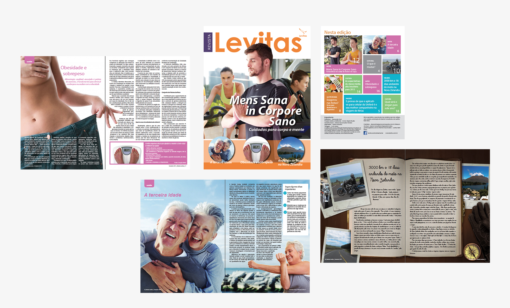 Revista Levitas
